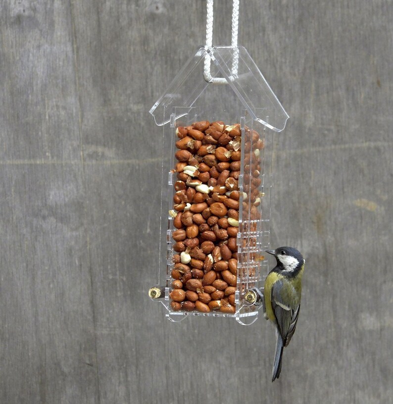 Squirrel Proof Bird Feeder Acril Small Mesh Nut Peanut Etsy