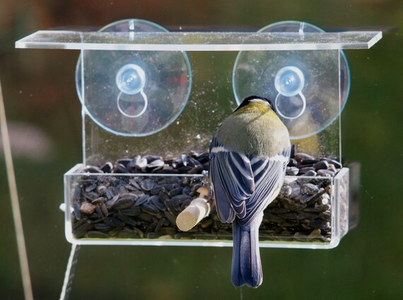 Window Bird Feeder For Bluebird Cardinal Wood Perch Balcony Etsy