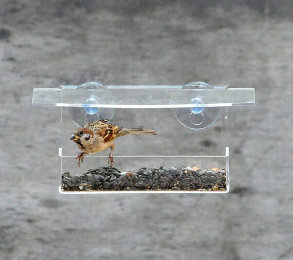 Small Window Bird Feeder Window Bird Feeder Handmade Bird Etsy