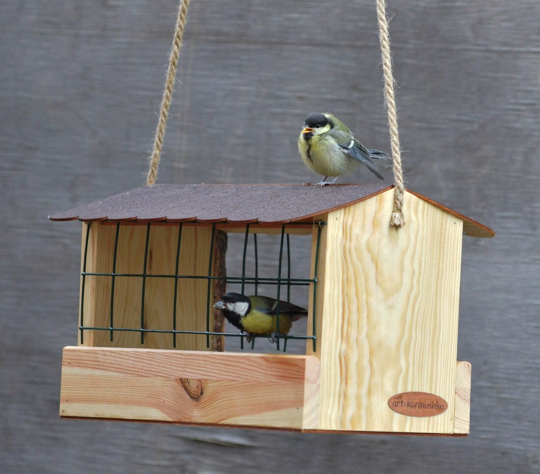 Wooden Bird House Feeder Large Mesh Metal Seed Guard Etsy