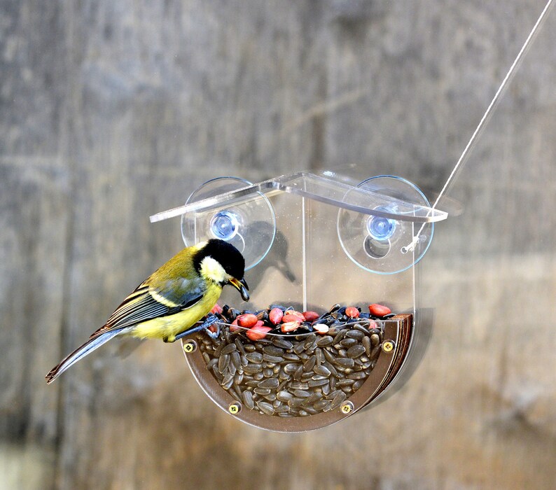 Window bird feeder suction cups Backyard bird watching Etsy