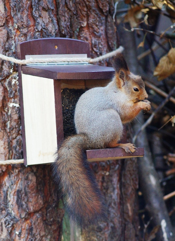 Squirrel Feeder Box Suspended Wooden Hanging Wildlife Garden Etsy