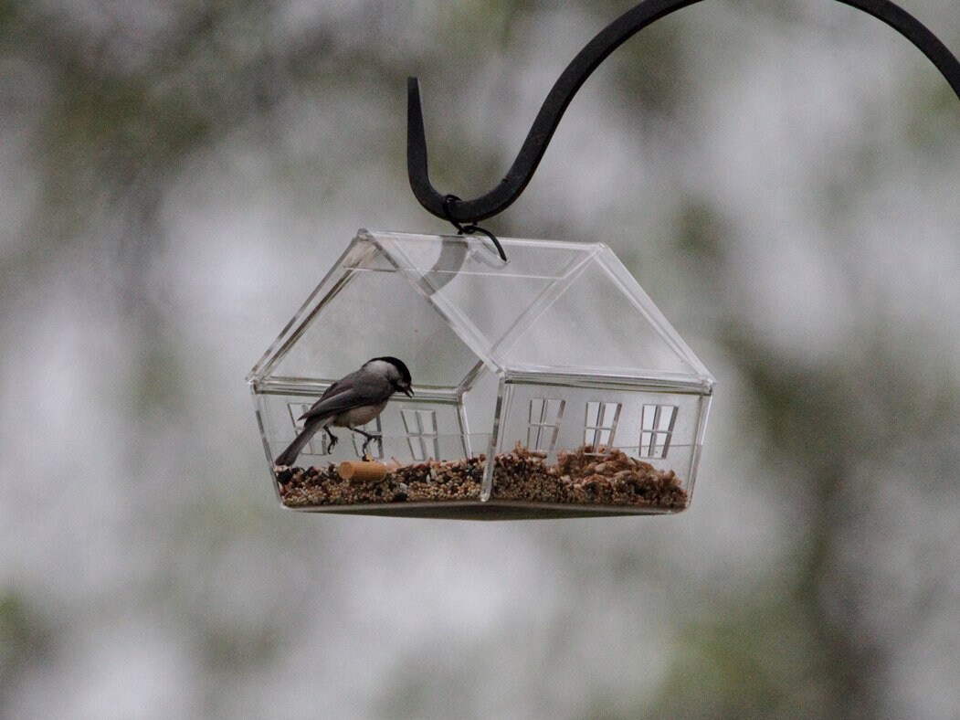 Modern Bird Feeder Open Clear Acrylic by Artbirdfeeder Etsy