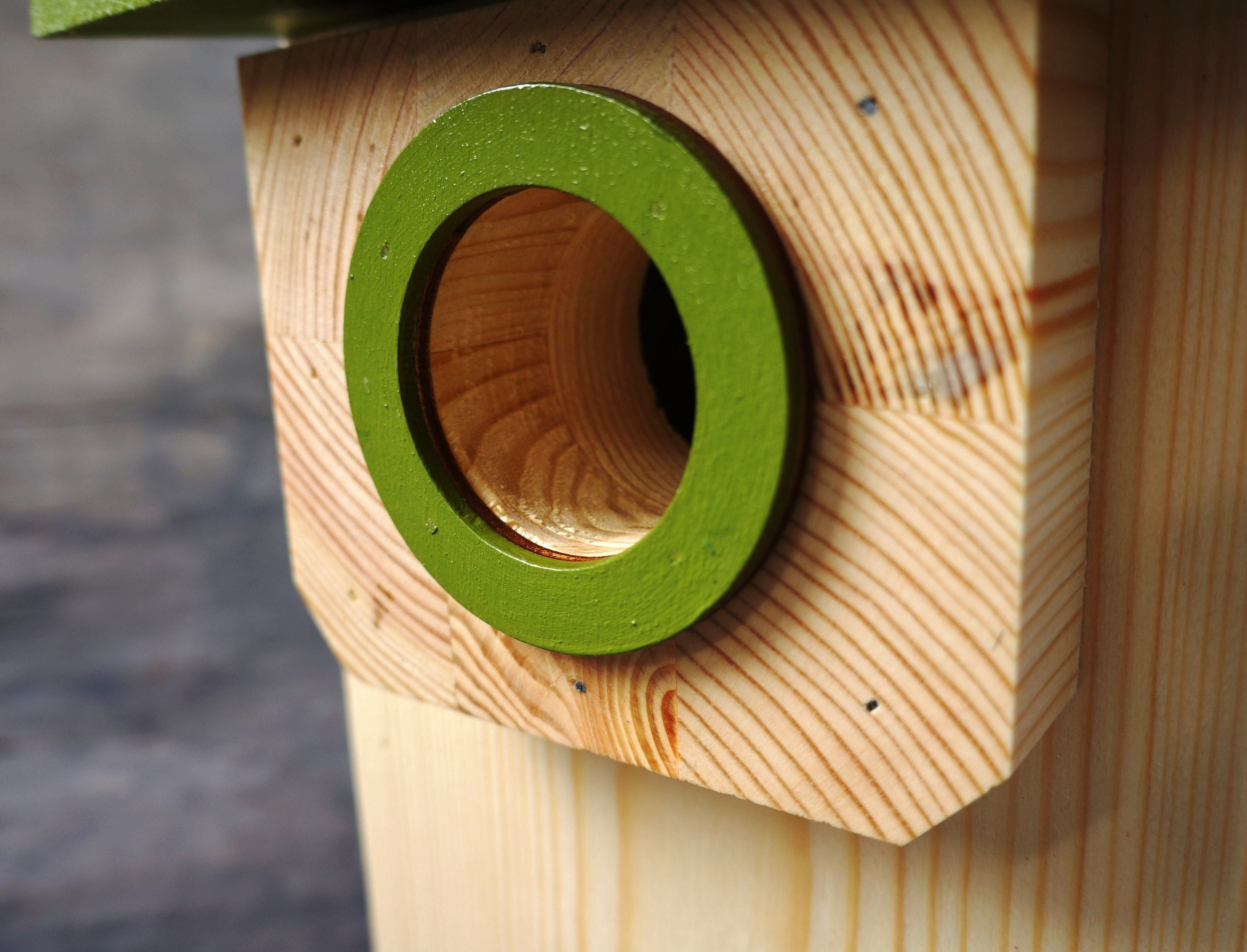 Modern wooden birdhouse predator guard Outdoor bluebird Etsy