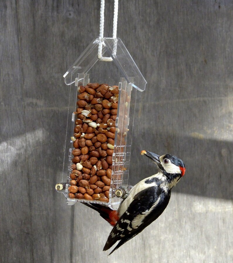 Squirrel Proof Bird Feeder Acril Small Mesh Nut Peanut Etsy