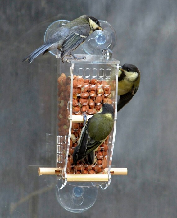 Peanut Window Squirrel Proof Bird Feeder See Wild Birds Up Etsy