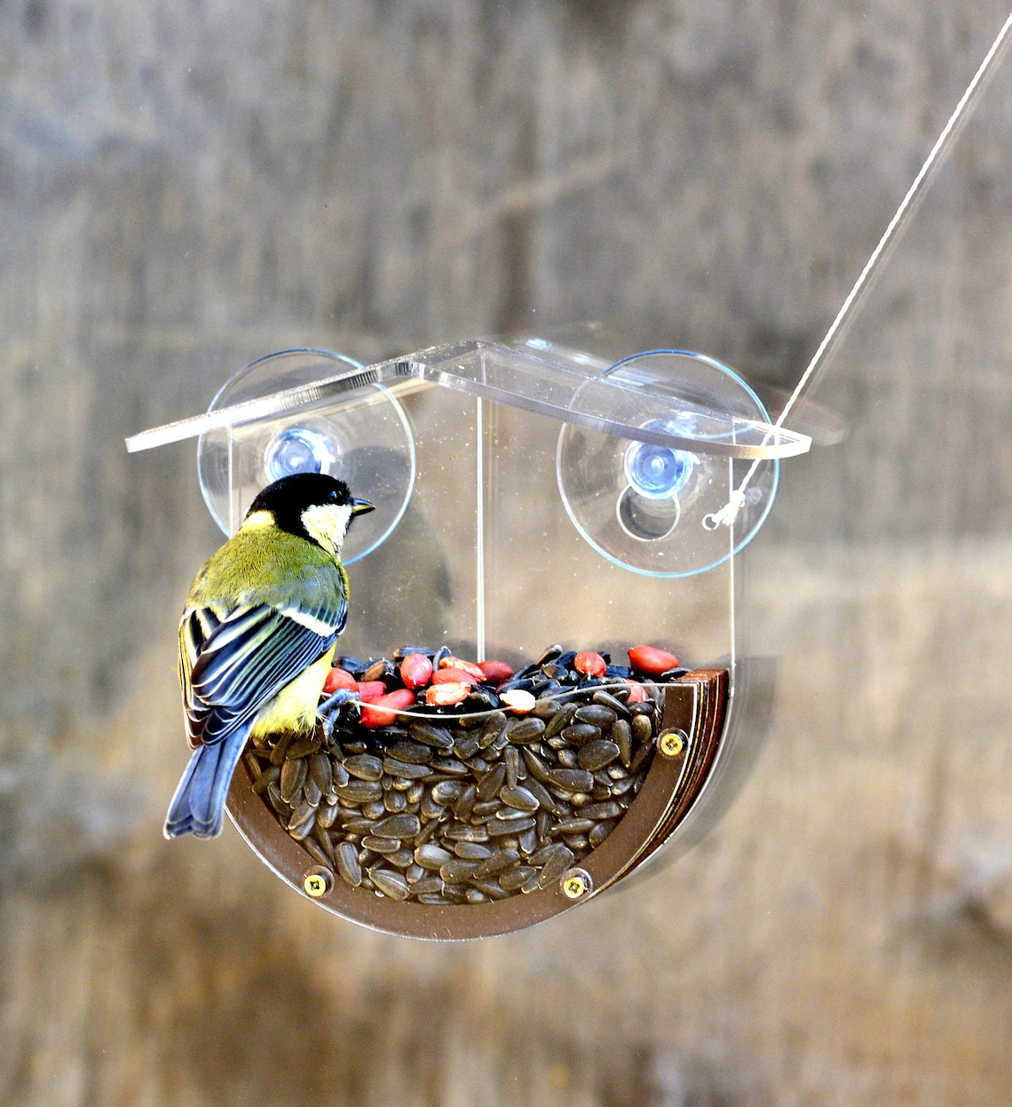 Window bird feeder suction cups Backyard bird watching Etsy
