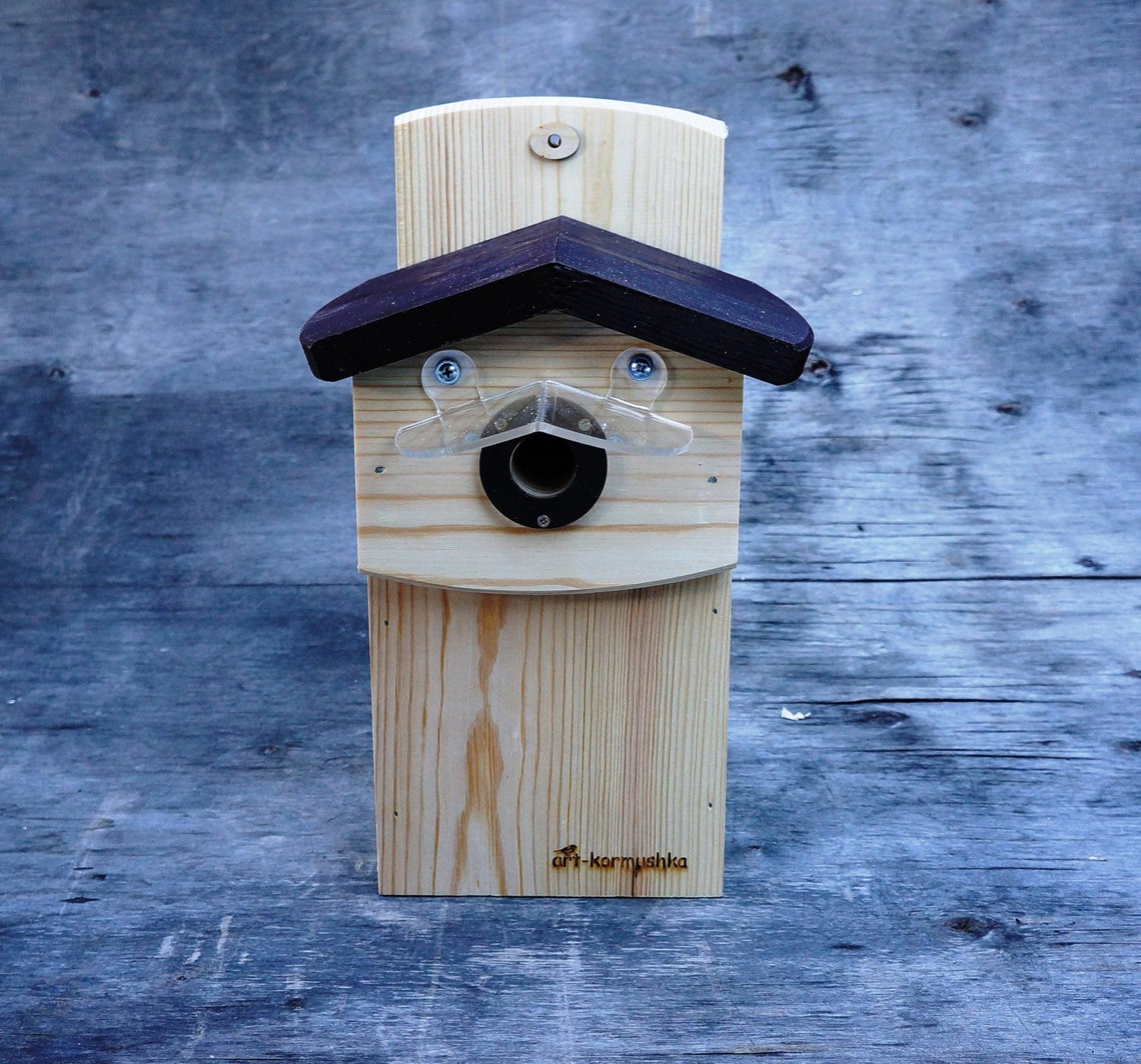 Wooden Bird House Chickadee Nesting Box Wild Bird Predator | Etsy
