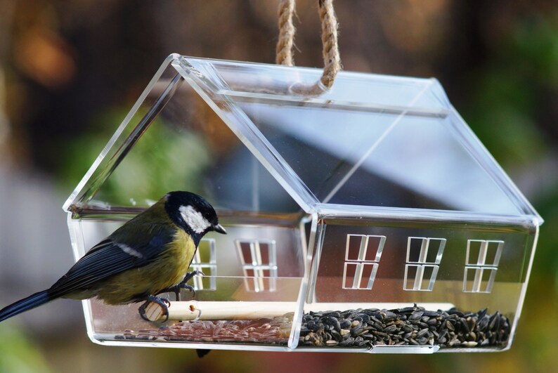 Modern Bird Feeder Open Clear Acrylic by Artbirdfeeder Etsy