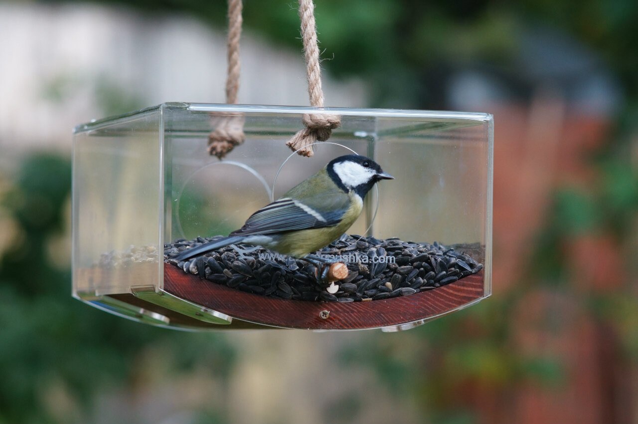 Oiseau maison mangeoire fait à la main bois décor rustique | Etsy