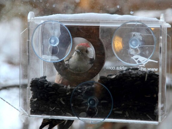 Window Bird Feeder Acrylic Easy Clean Feeding Balcony Bird Etsy
