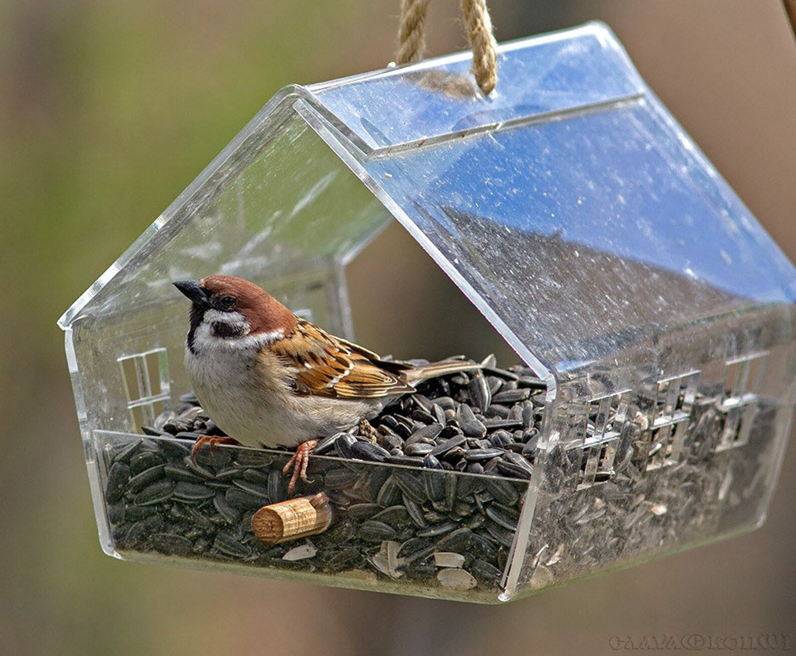 Bird feeder outdoor hanging Garden gifts for dad Durable Etsy