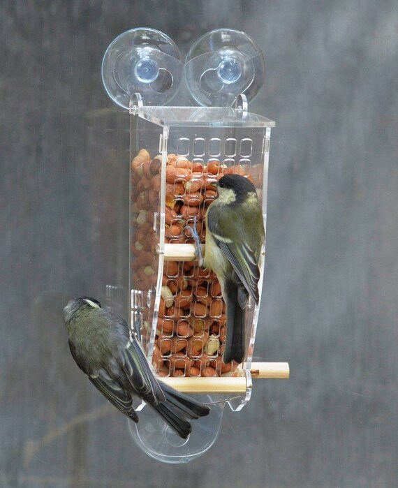Peanut Window Squirrel Proof Bird Feeder See Wild Birds Up Etsy