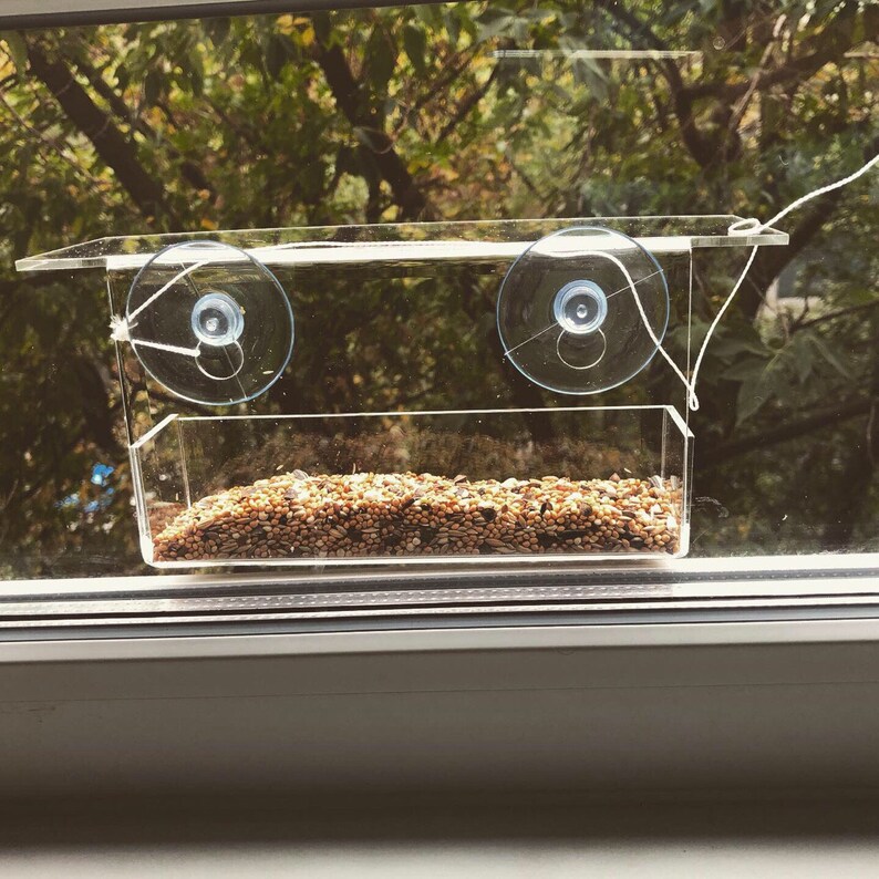 Small Window Bird Feeder Handmade Bird Feeder Suction Cup Etsy