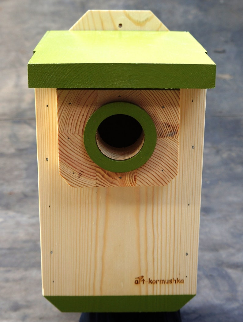 Modern wooden birdhouse predator guard Outdoor bluebird Etsy