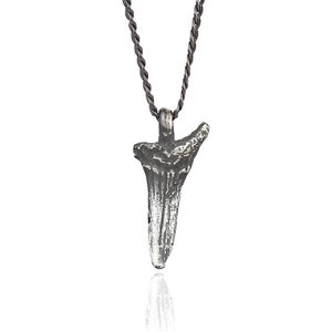 Shark Tooth Pendant Necklace for Man