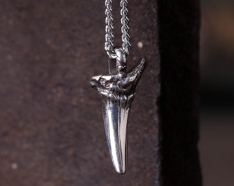 May include: A silver shark tooth pendant necklace with a delicate chain. The pendant is detailed and realistic, with a sharp point and textured surface.