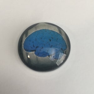 Puede incluir: Un pisapapeles de vidrio azul y gris con un diseño de cerebro.