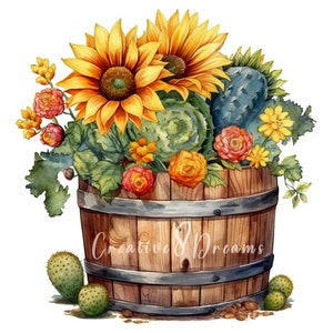 Paquete de imágenes prediseñadas de girasoles y cactus en barril: 10 archivos JPG de acuarela de alta calidad. Ideal para diario, scrapbooking, uso comercial y descarga digital.