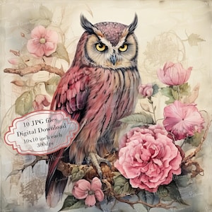 Shabby chique roze uil bloemen pagina clipart bundel-10 hoge kwaliteit aquarel JPGs-decoupage, journaling, scrapbook levering, digitale download