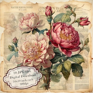 Prachtige bloemen op een vintage krant clipart-bundel-10 hoge kwaliteit aquarel jpg's-decoupage, journaling, scrapbook, digitale download