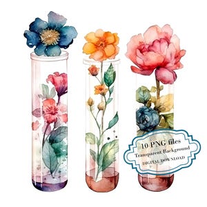 Flower Test Tubes PNG Clipart Bundle- Digital Download