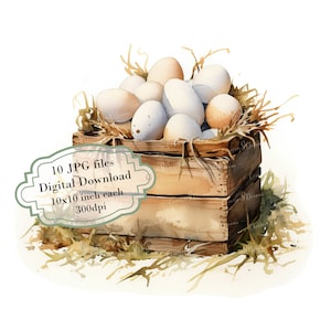 Paquete de imágenes prediseñadas de huevos frescos de granja: 10 imágenes en acuarela de alta calidad (JPG) para uso rural, manualidades, diarios, scrapbooking y descarga digital.