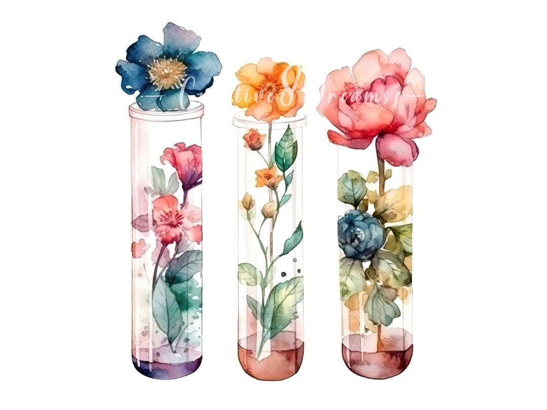 Flower Test Tubes Clipart Bundle 10 High Quality Watercolor Jpgs