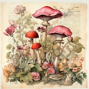 Shabby chique paddestoel vintage kranten clipart bundel-10 hoge kwaliteit aquarel jpg-decoupage, journaling, scrapbook, digitale download