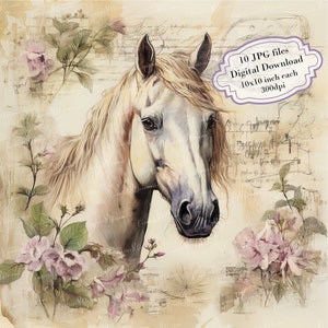 Shabby chique White Horse bloemen pagina clipart bundel-10 hoge kwaliteit aquarel JPGs-decoupage journaling, scrapbook levering digitale download