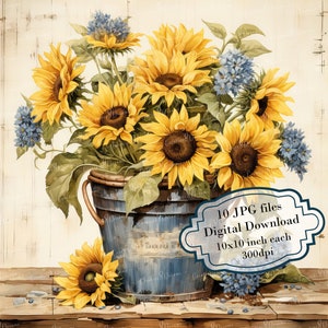 Paquete de imágenes prediseñadas de girasoles shabby chic en un cubo rústico: 10 archivos JPG de acuarela de alta calidad. Ideal para diarios de manualidades, scrapbooking y descarga digital.