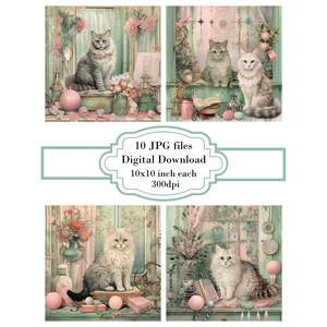 Pluizige kat op een roze salie rommelig toilettafel JPG clipart bundel-digitale download