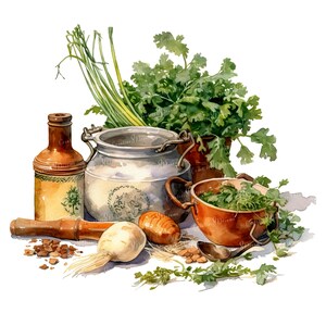 Herbes de cuisine rustiques PNG Clipart Bundle - téléchargement numérique image 2