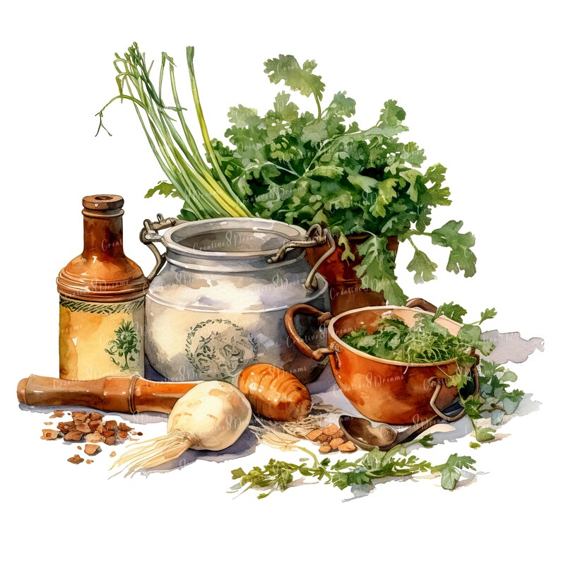 Herbes de cuisine rustiques PNG Clipart Bundle - téléchargement numérique image 2