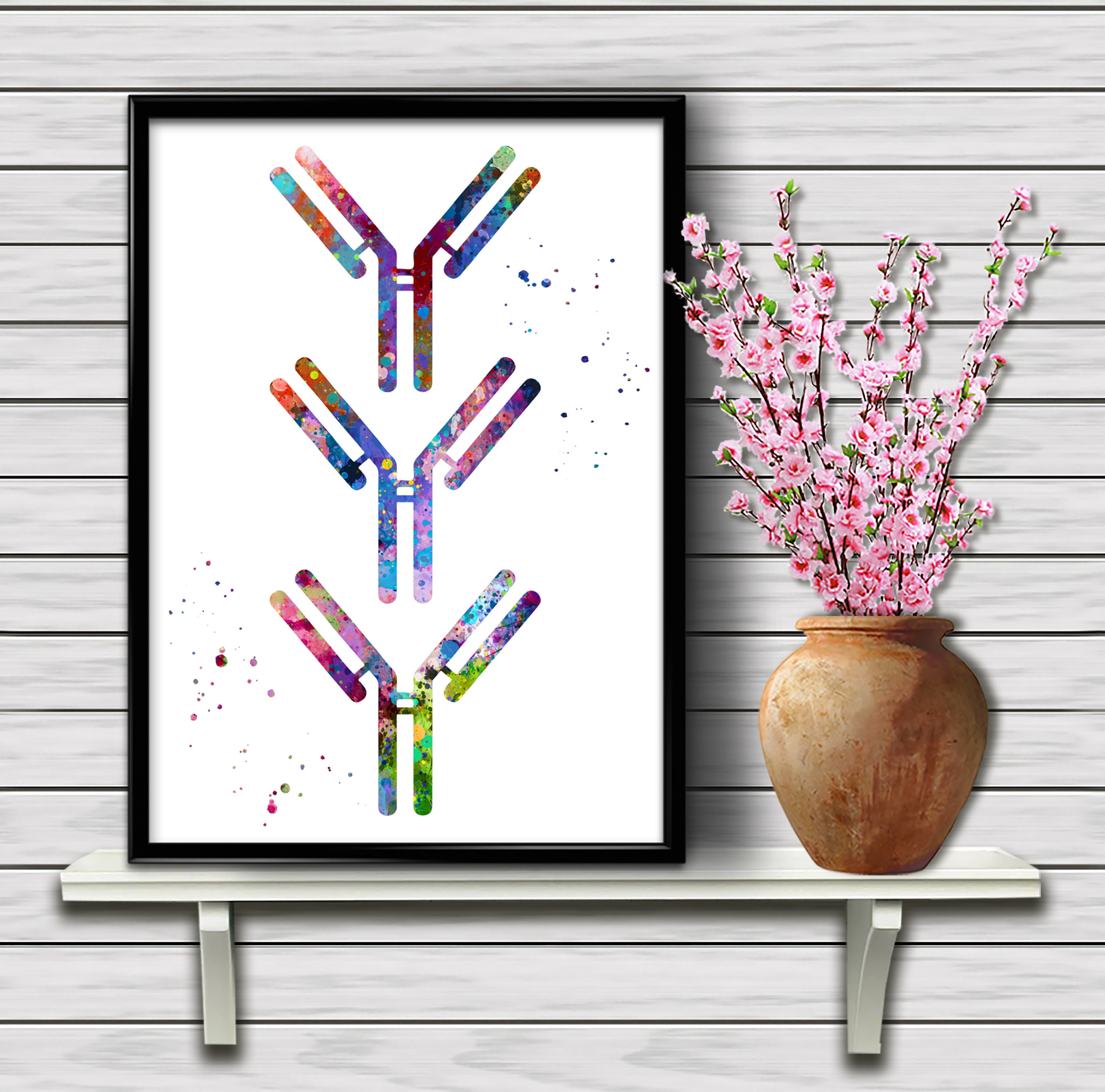 Antibody Molecules Immune System Microbiology Medical Art Etsy
