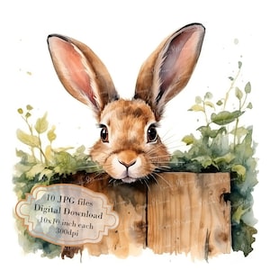 Bunny gluren over een rustiek tuinhek clipartbundel-10 hoge kwaliteit aquarel jpg's-lente, journaling, scrapbooking, digitale download