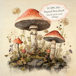 Mushrooms on Vintage Aged Paper Clipart Bundle- 10 High Quality Watercolor JPGs- Decoupage, Journaling, Scrapbook, Digital Download