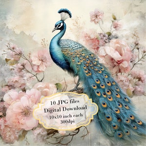 Shabby Chic Peacock Floral papier clipart bundel-10 hoge kwaliteit aquarel JPGs-decoupage, journaling, scrapbook levering, digitale download