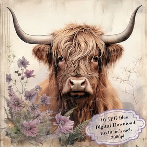 Shabby Chic Highland Cow with Flowers Clipart Bundle- 10 High Quality Watercolor JPGs- Decoupage, Journaling, Scrapbooking, Digital Download