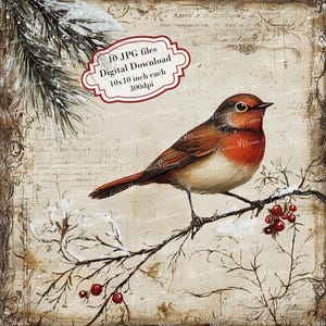 Paquete de imágenes prediseñadas de pájaro invernal sobre rama nevada con letras antiguas: 10 archivos JPG de acuarela de alta calidad. Manualidades, diario, scrapbooking y descarga digital.
