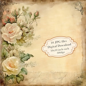 Pacote de clipart de página envelhecida vintage com rosas brancas - 10 JPGs em aquarela de alta qualidade - Artesanato, diário de lixo, álbum de recortes, download digital
