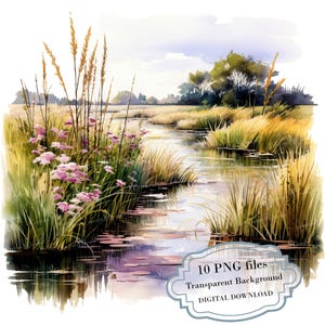 Paysage de zone humide avec quenouilles et fleurs des marais Clipart Bundle - 10 PNG aquarelles de haute qualité - journal, album, téléchargement numérique