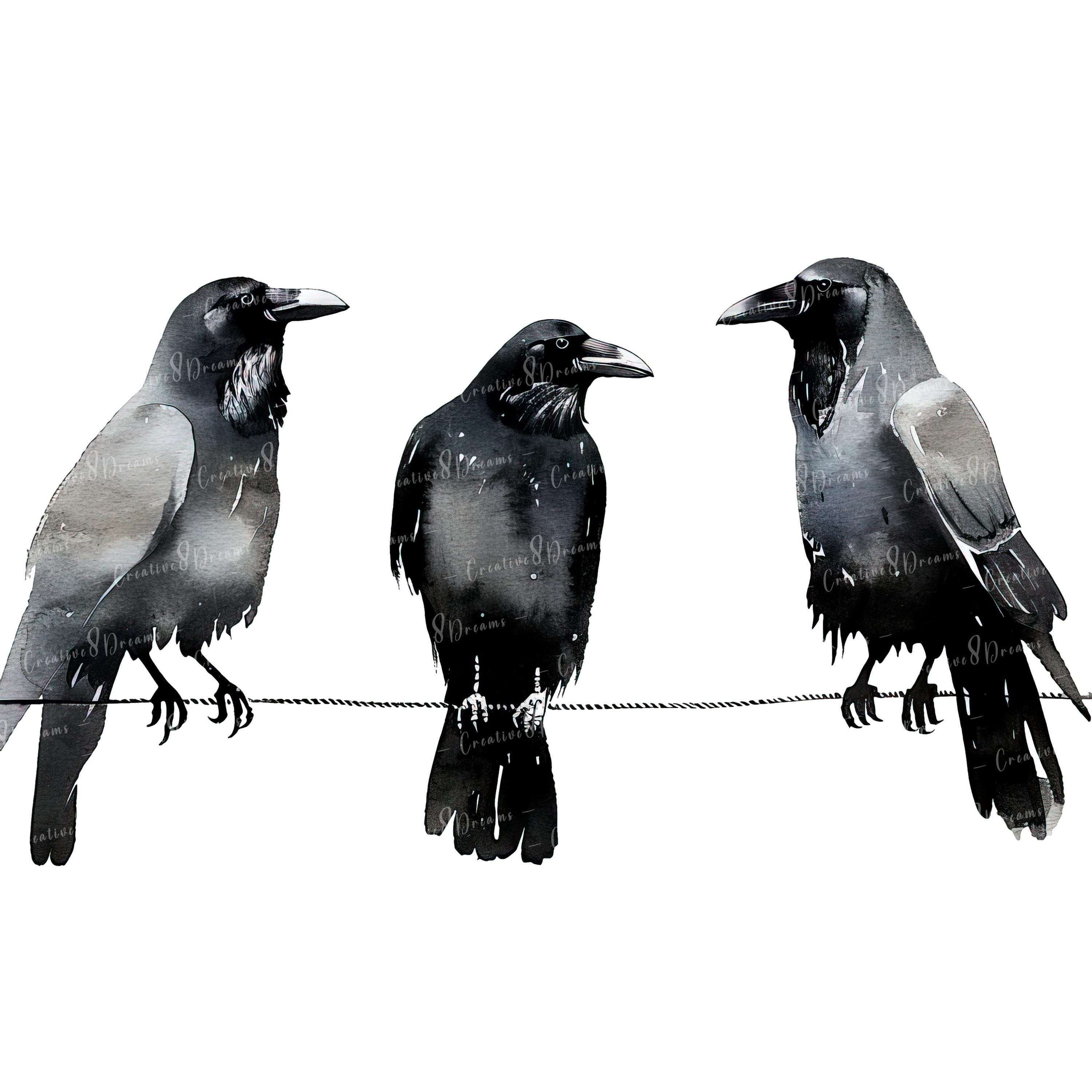 Three Crows on a Cable PNG Clipart Bundle- Digital Download - Etsy
