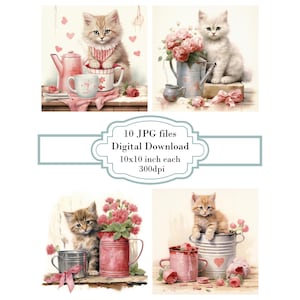 Shabby Chic Kitten in with Pink Flowers JPG Clipart Bundle- Digital Download