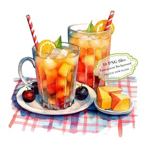 Summer Party Juice Drinks and Fruit Clipart Bundle- 10 High Quality Watercolor PNGs- Craft, Junk Journaling, Scrapbooking, Digital Download