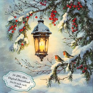 Pacchetto di clipart di uccelli invernali coccolati da una lanterna - 10 JPG di acquerelli di alta qualità - Inverno, journaling, forniture per album, download digitale