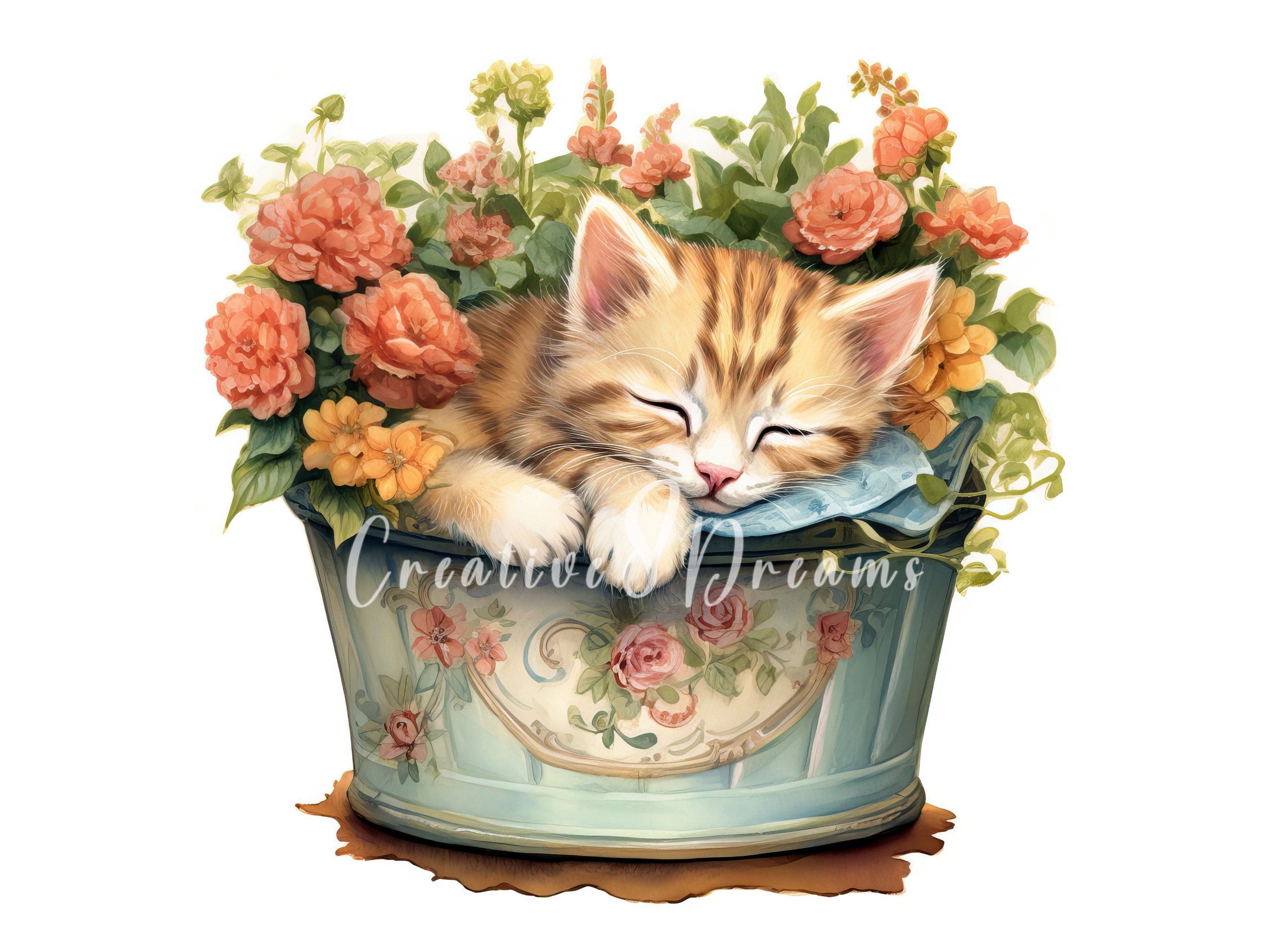 Kitten Flower Pot Ireland