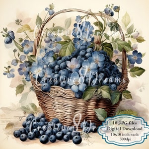 Pacchetto di clipart con cesto di mirtilli in stile shabby chic - 10 immagini JPG ad acquerello di alta qualità - Frutta, articoli per diario, scrapbooking, download digitale