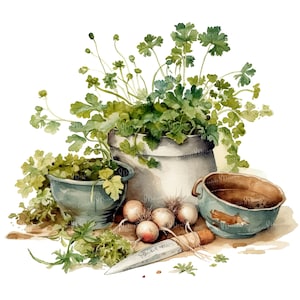Herbes de cuisine rustiques PNG Clipart Bundle - téléchargement numérique image 5