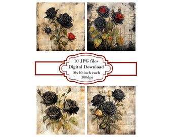 Black and Pale Roses on Aged Letter JPG Clipart Bundle- Digital Download